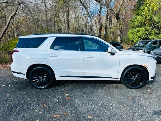 2024 Hyundai Palisade Calligraphy photo 4