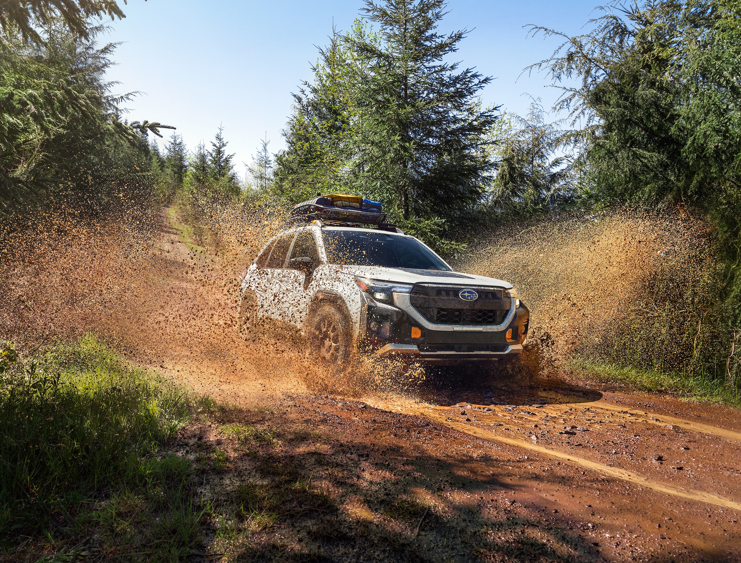 Subaru Forester Wilderness driving through mud
