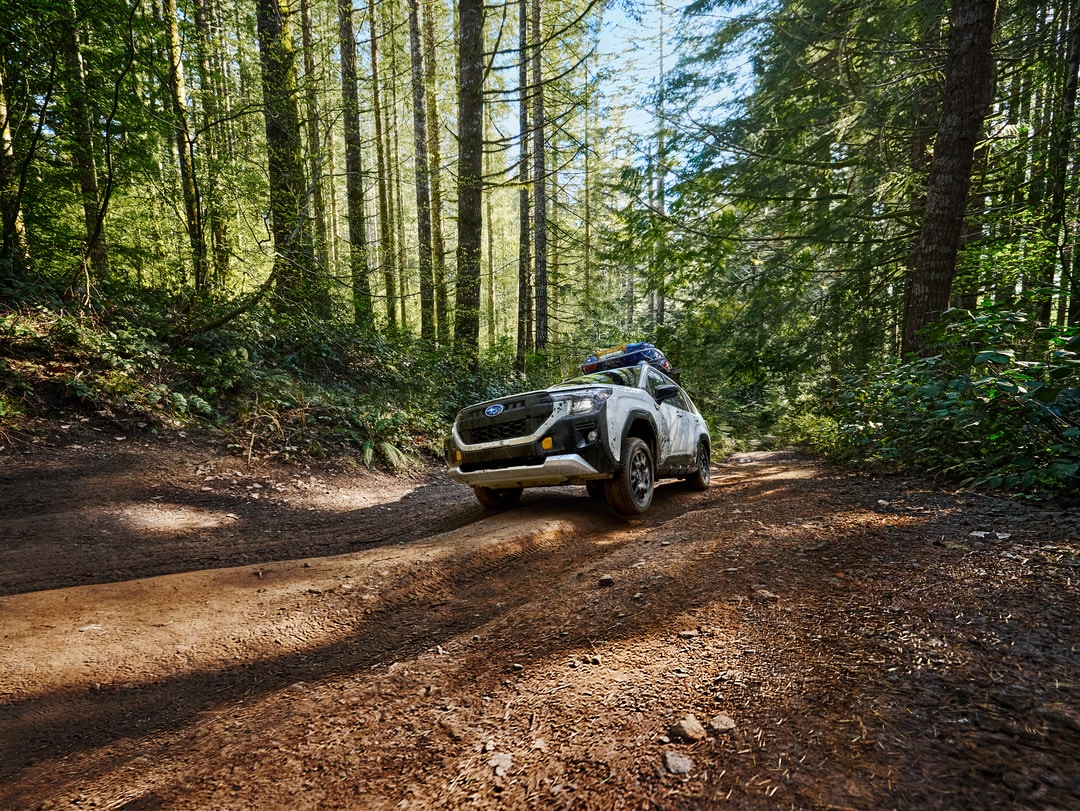 2026 Subaru Forester Wilderness on dirt trail