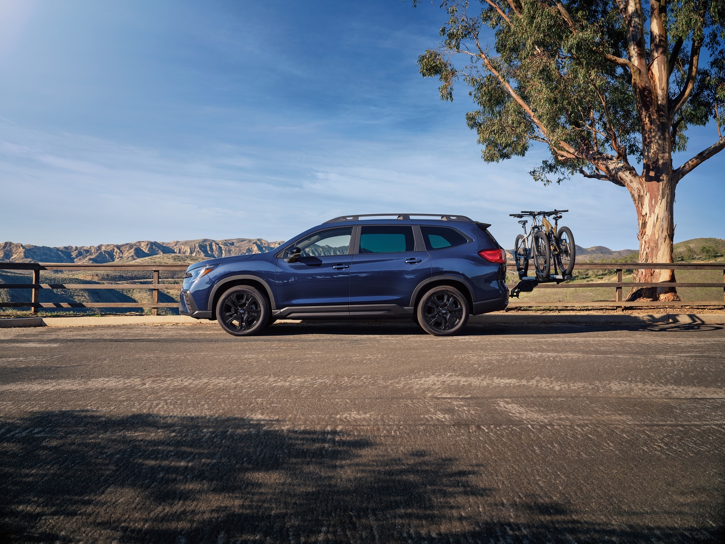 Subaru Ascent with bike rack