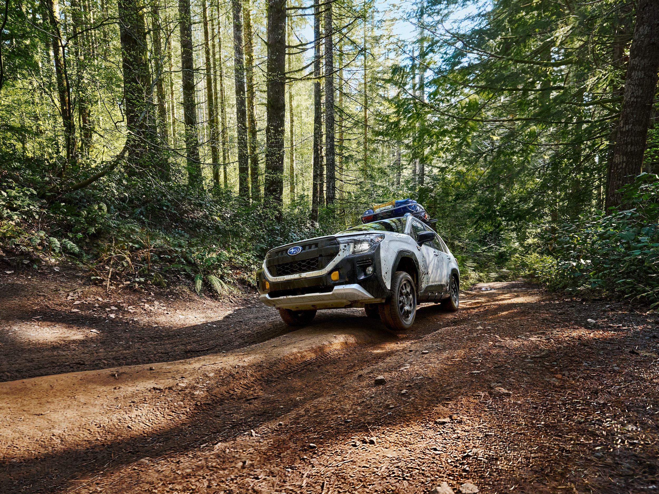 Subaru Forester driving in the woods