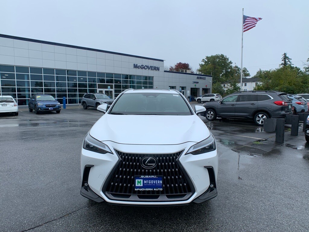 2024 Lexus NX 350 Premium photo 2