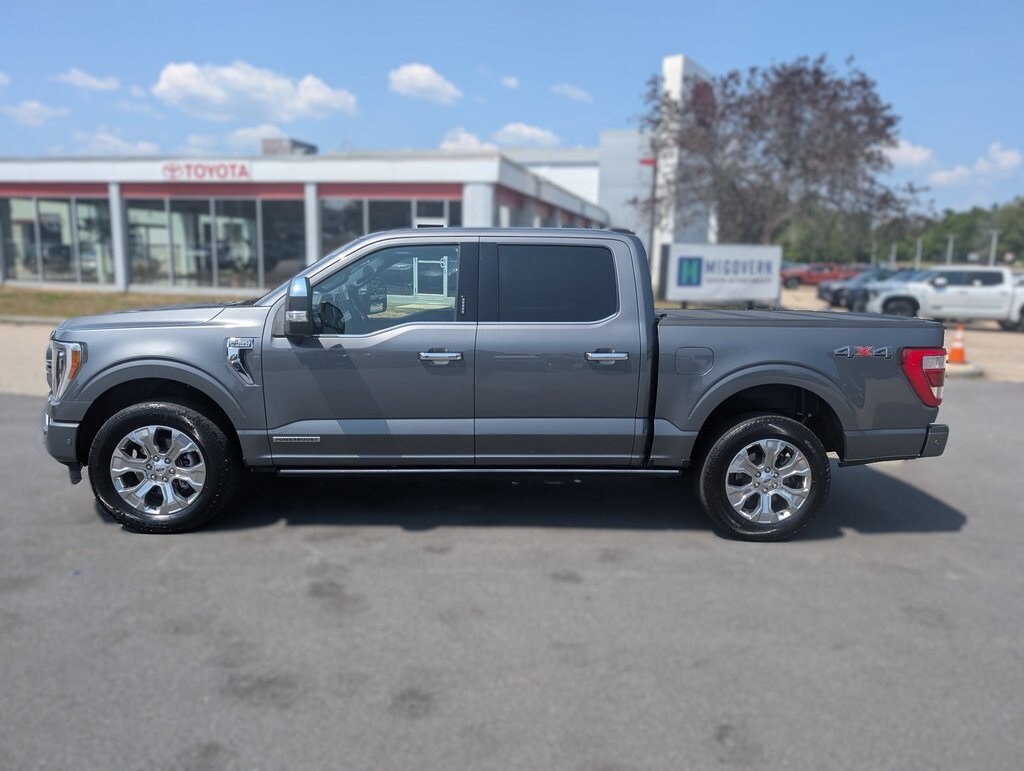 2022 Ford F-150 Platinum photo 2