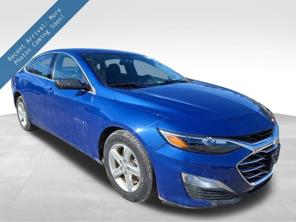 2023 Chevrolet Malibu 1FL