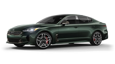 Kia Stinger jellybean
