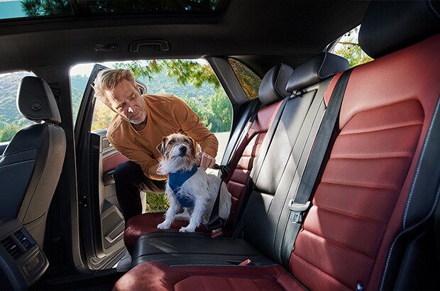 Cross Sport's durable seating - lil doggy enjoying the day