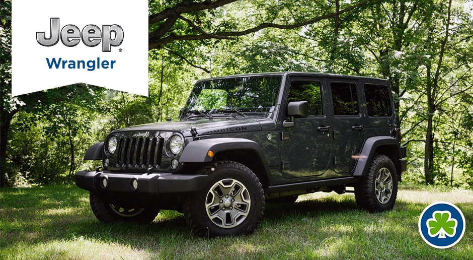 Gray Jeep Wrangler Back Country