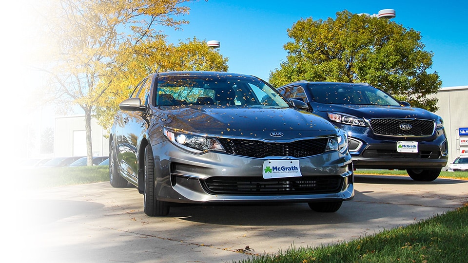Kia inventory