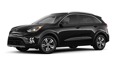 Kia Niro jellybean