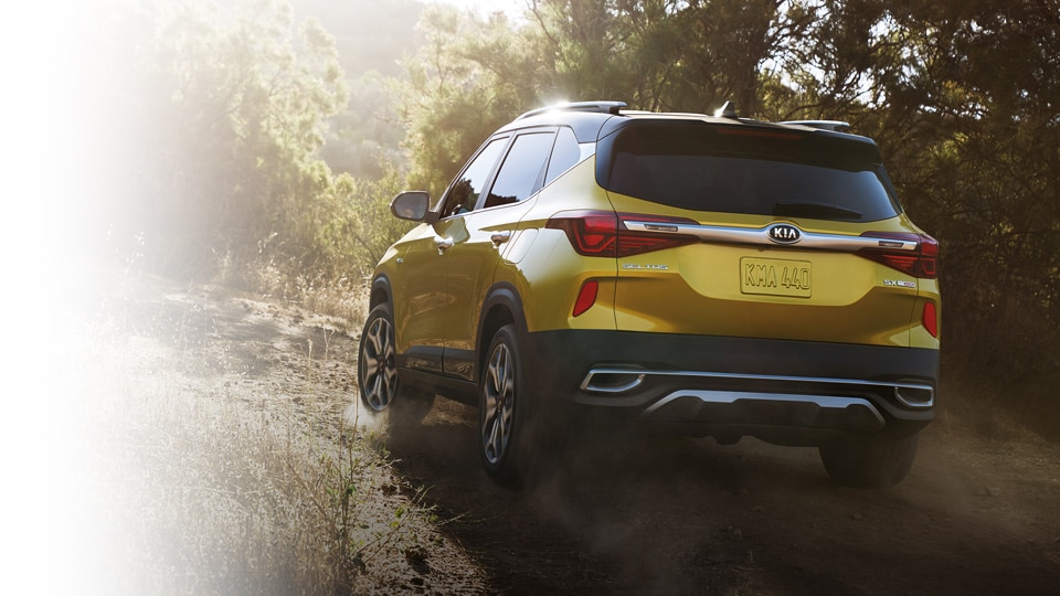 Kia Seltos AWD off road