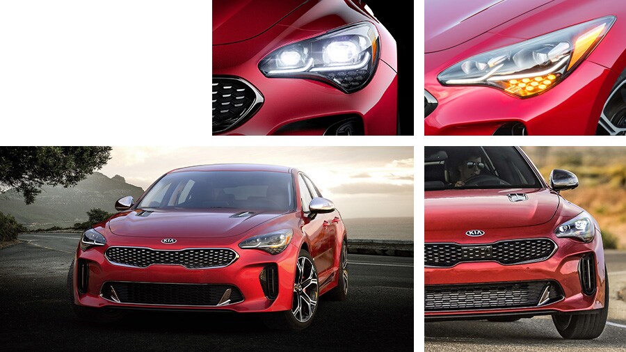 Stinger Headlights and Front Grill