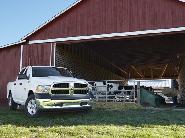 Ram 1500 on the farm