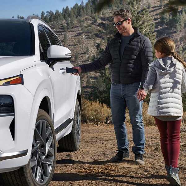 Hyundai Santa Fe Mcgrath Hyundai Of Dubuque