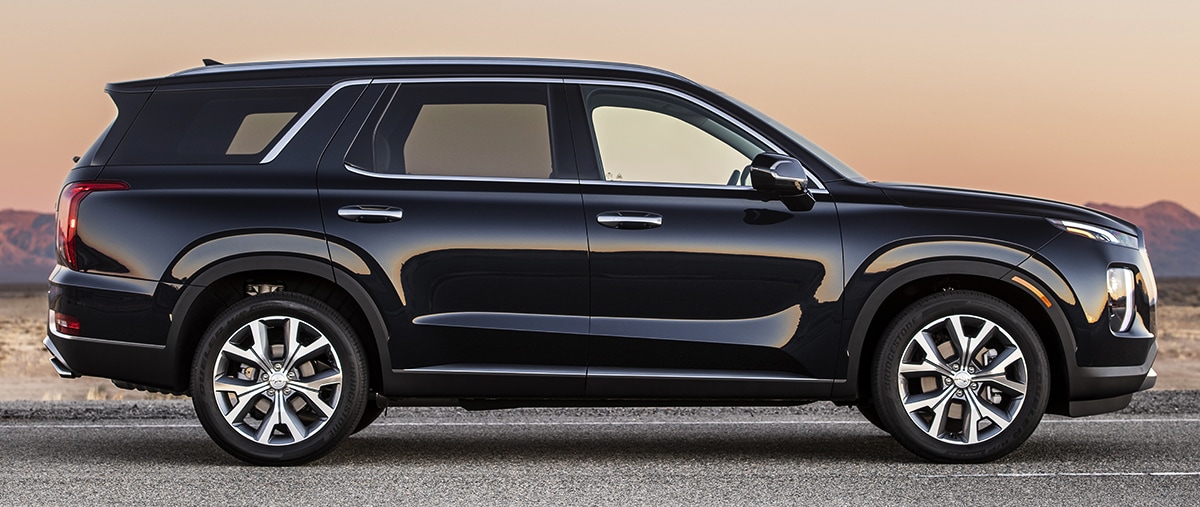 2020 black Hyundai Palisade parked side view in the open