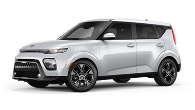 Kia Soul jellybean