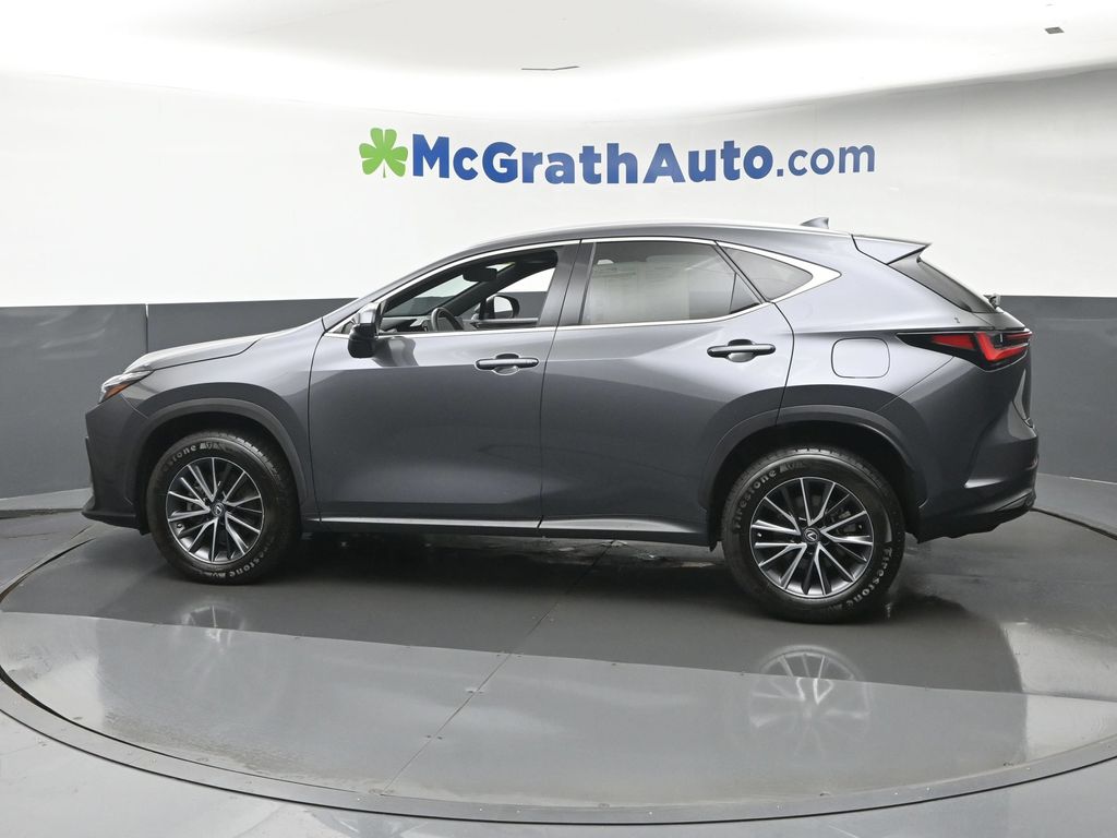 Photo 23