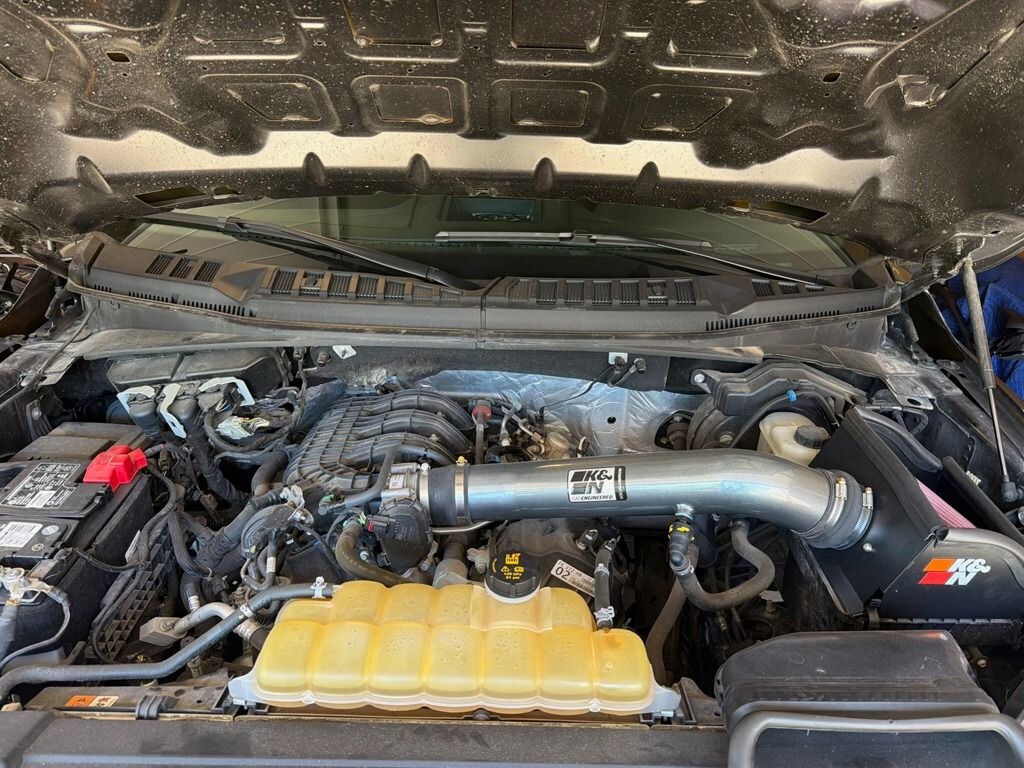 Used 2019 Ford F-150 XL Truck