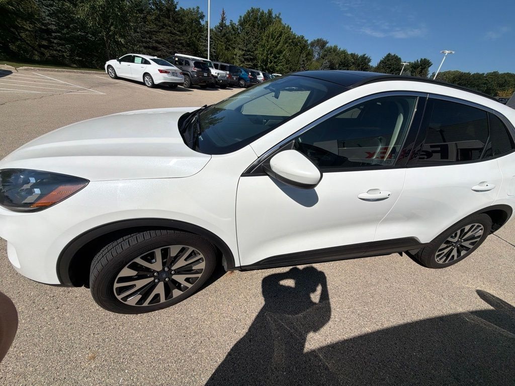Used 2020 Ford Escape SEL SUV