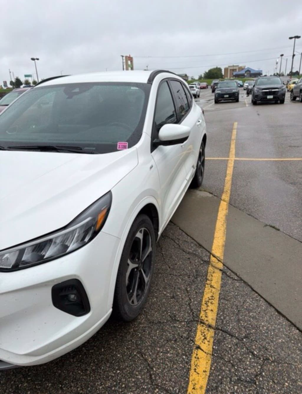 Used 2024 Ford Escape ST-Line Select SUV