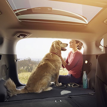 Dog in a 2017 Hyundai Tucson