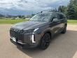 New 2025 Hyundai Palisade XRT AWD SUV
