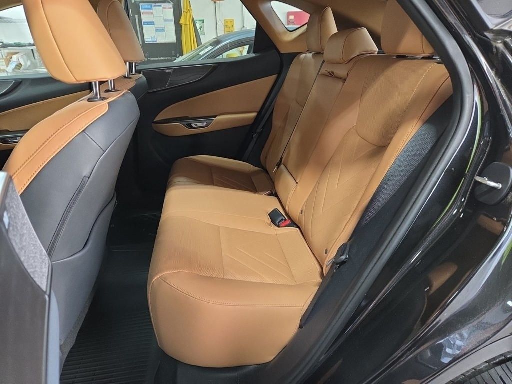2024 Lexus NX 350 Luxury photo 4