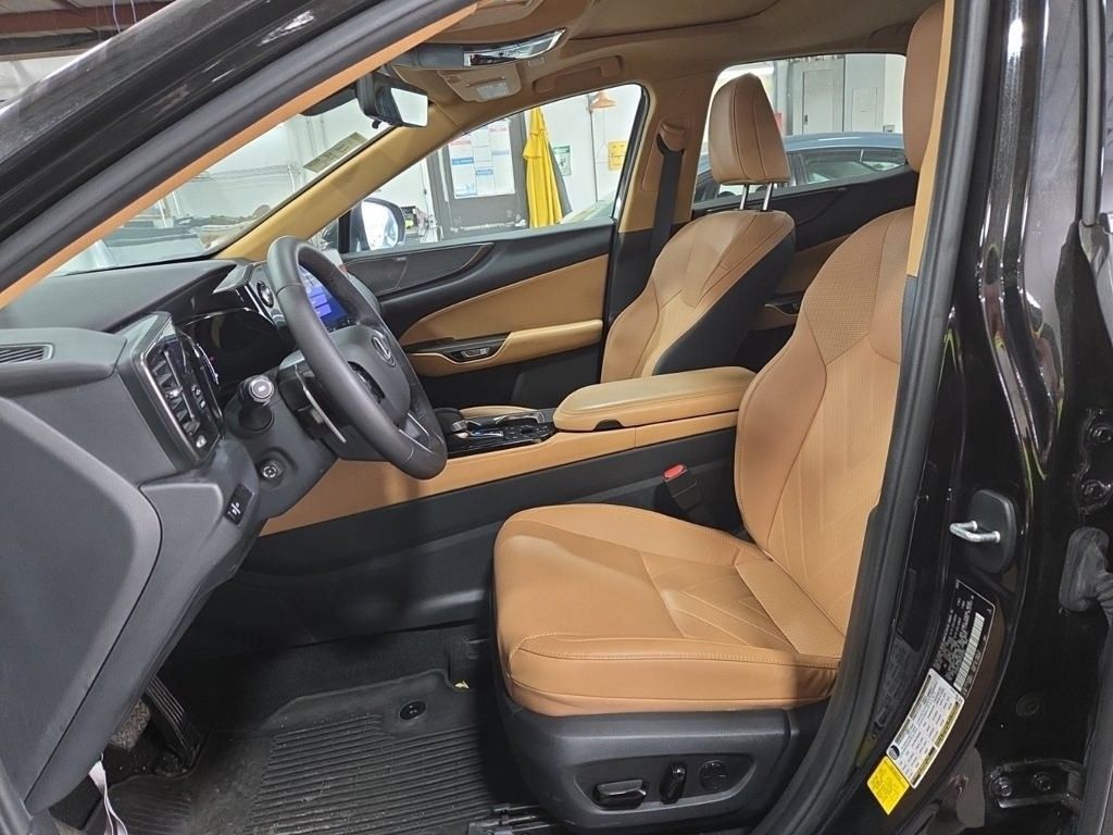 2024 Lexus NX 350 Luxury photo 2