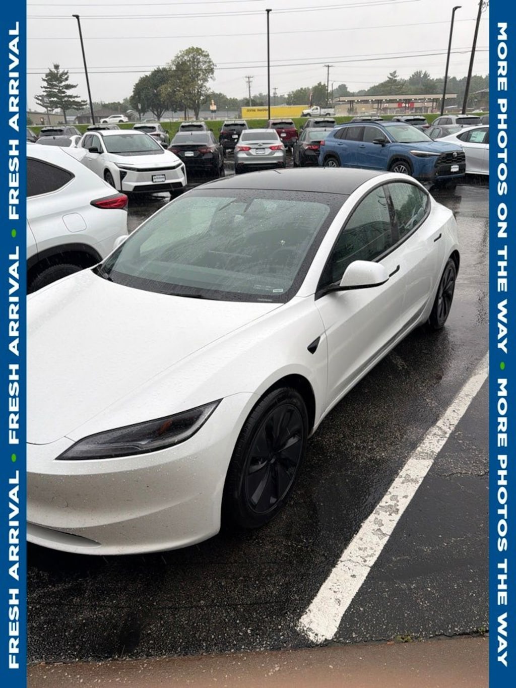 Used 2025 Tesla Model 3 Long Range Sedan