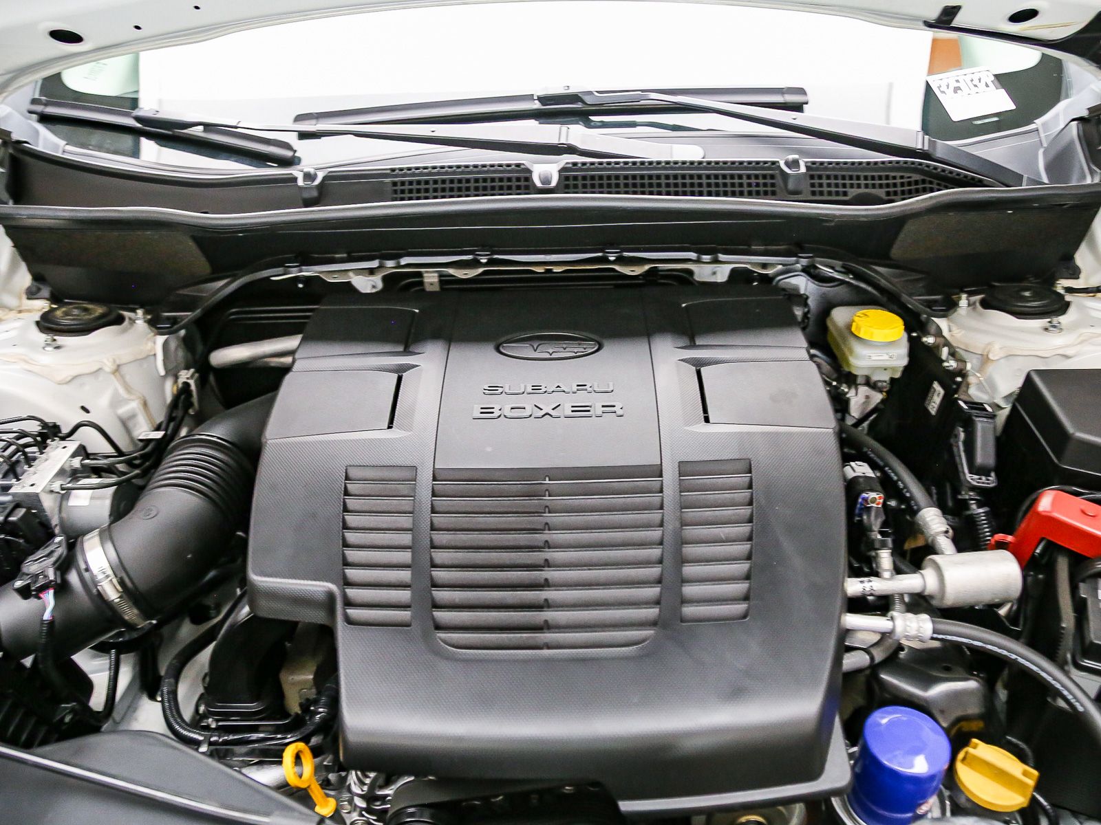 2024 Subaru Forester Limited - Photo 29