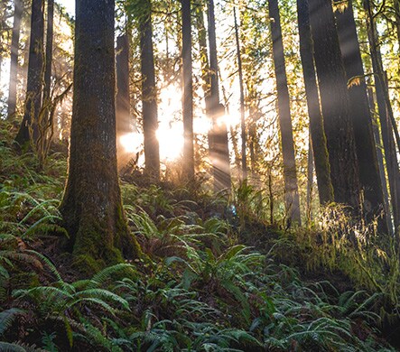 Subaru Loves the Earth <br> Earth Terracycle Initiative, Orange County Coast Keeper</br>