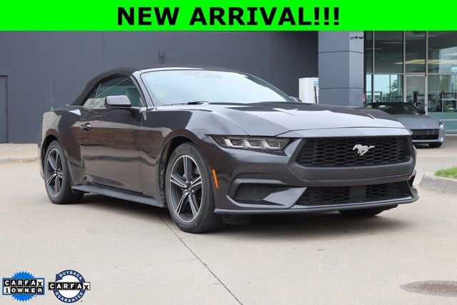 2024 Ford Mustang's photo