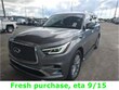 INFINITI QX80