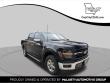 Used 2024 Ford F-150 XLT Truck