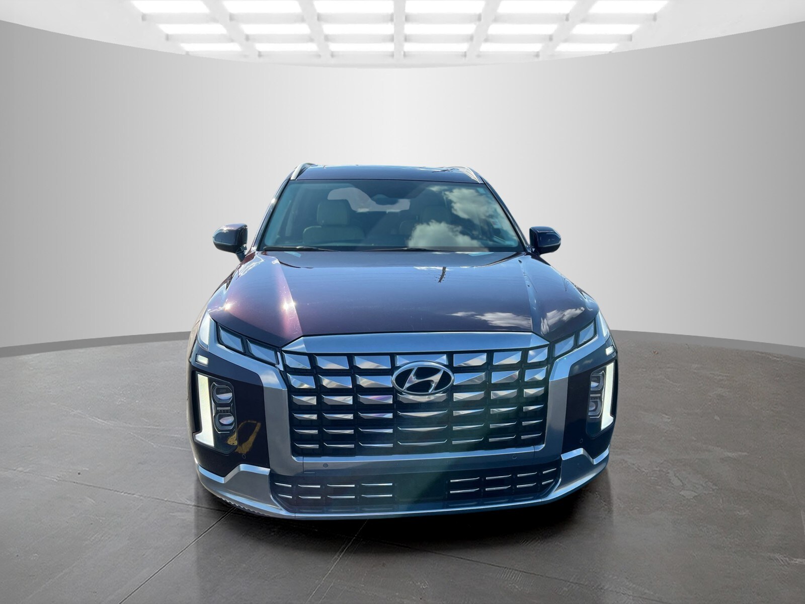 2024 Hyundai Palisade Calligraphy photo 2