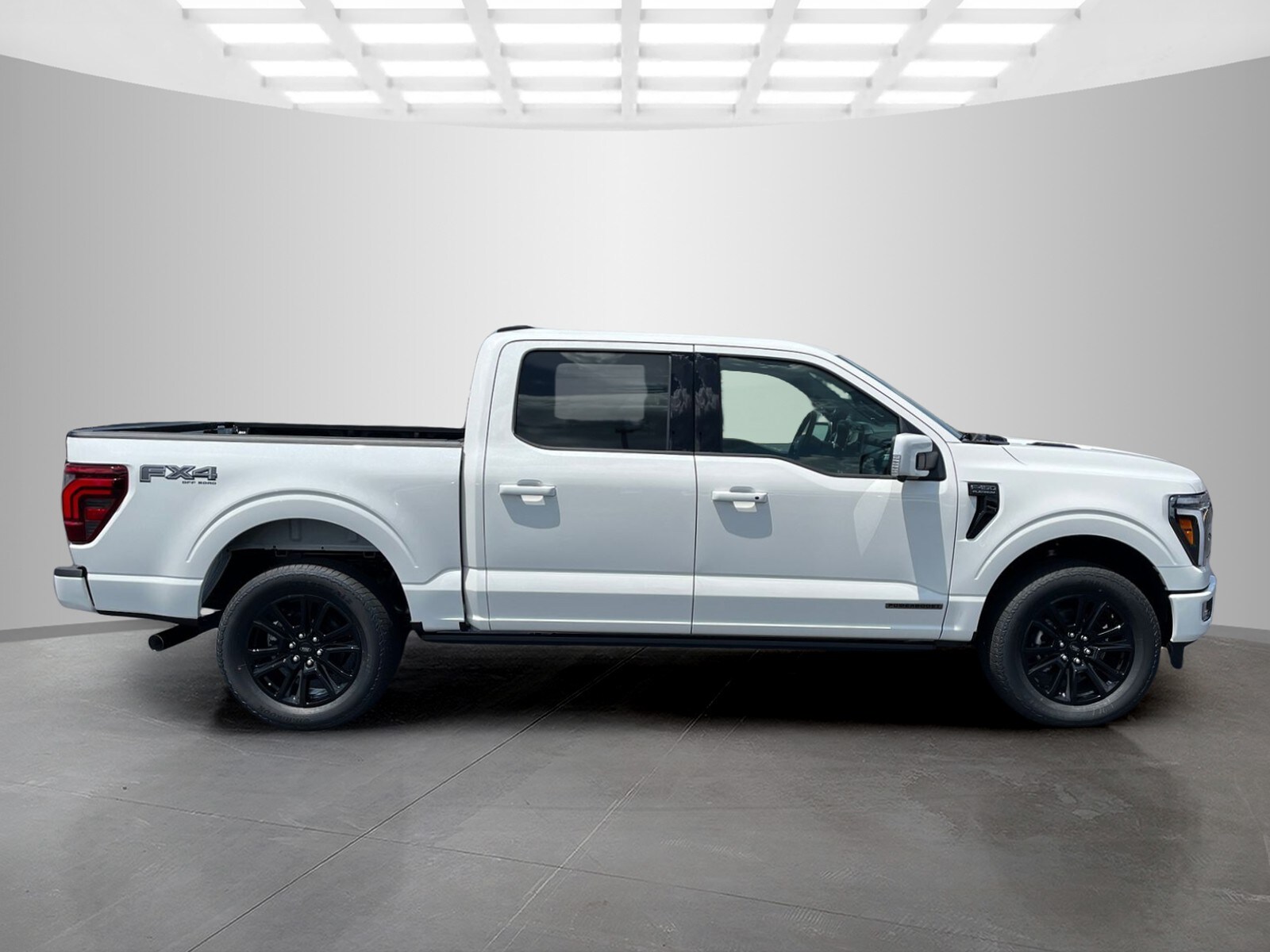 2025 Ford F-150 Platinum photo 2