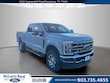 Ford Super Duty F-250 SRW