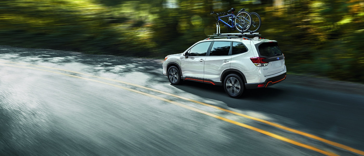 Bike rack for 2019 subaru best sale forester