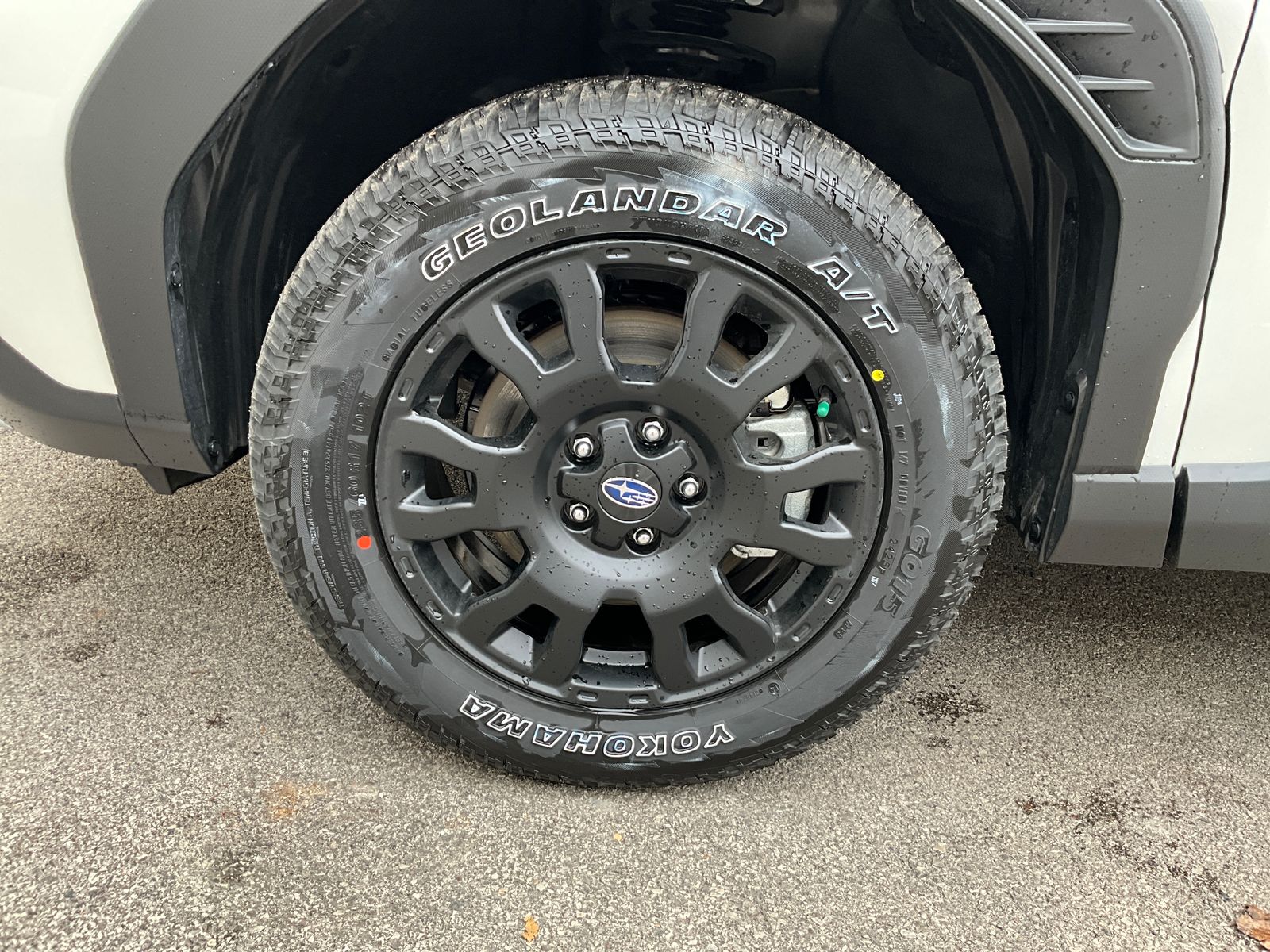 2026 Subaru Forester Wilderness - Photo 33