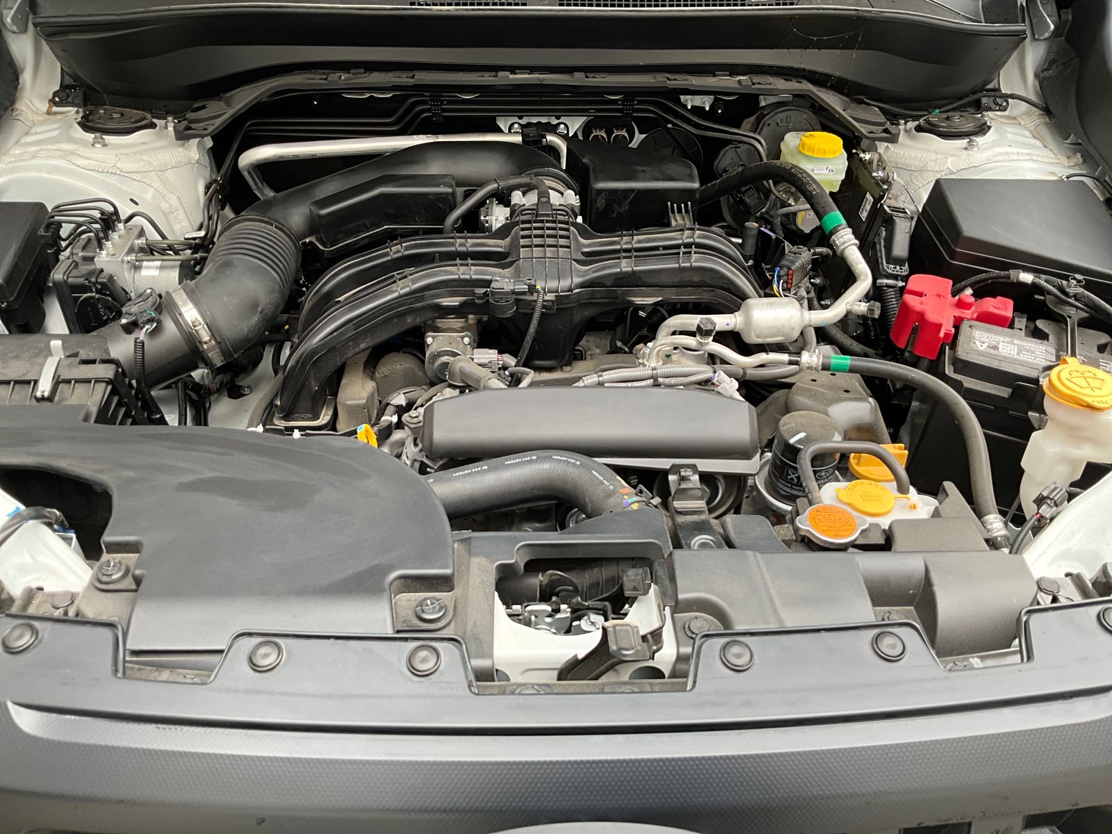 2026 Subaru Forester Wilderness - Photo 25