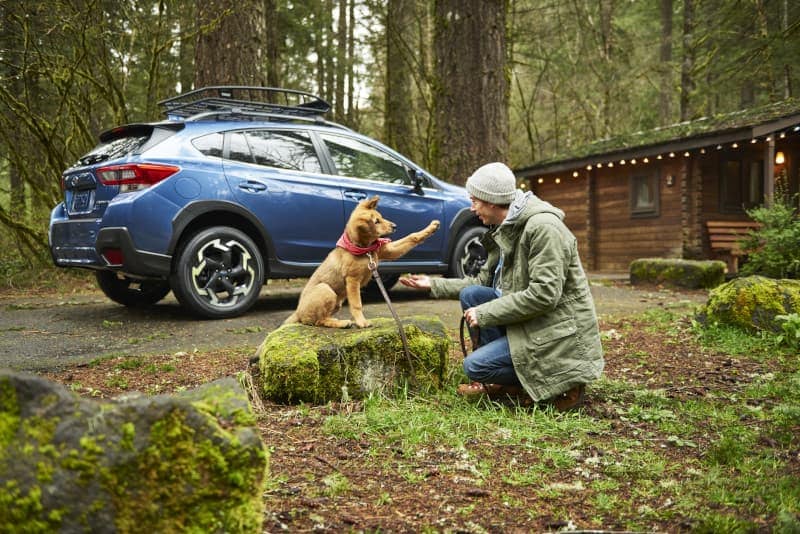 2021 Subaru Crosstrek