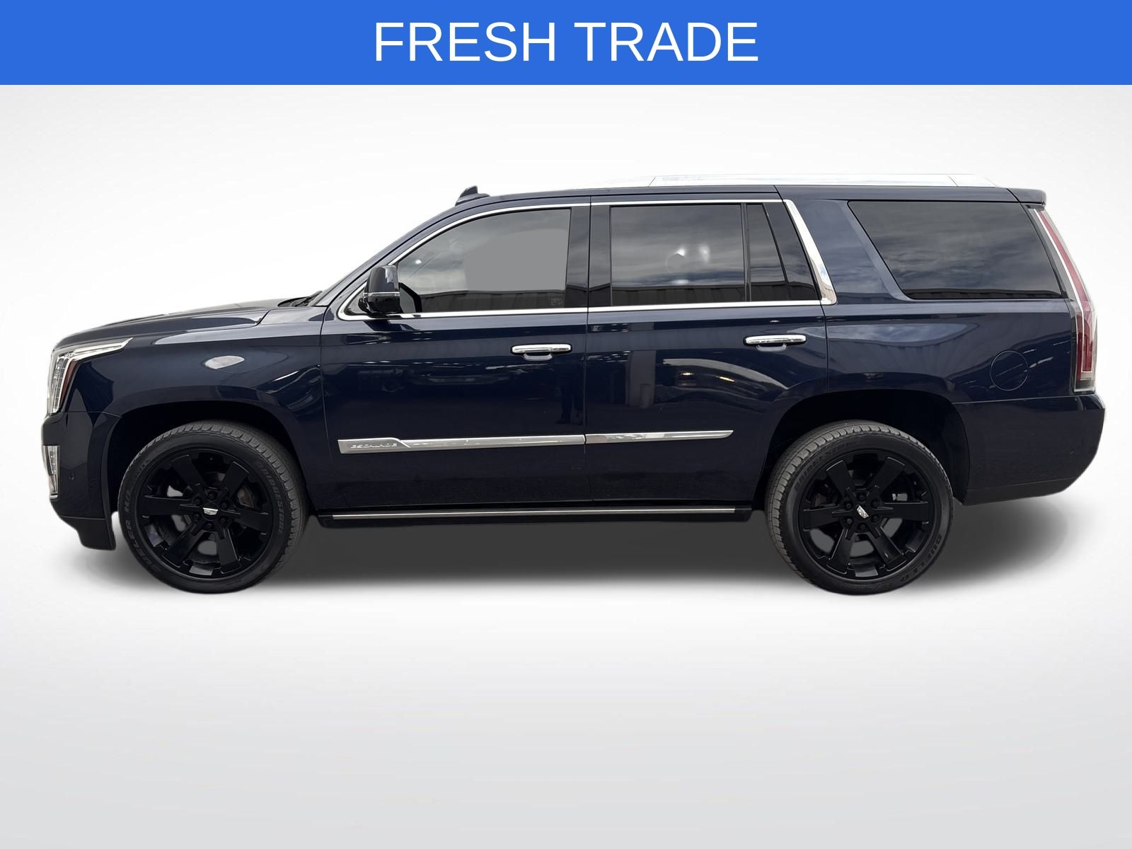 2019 Cadillac Escalade Premium Luxury photo 2