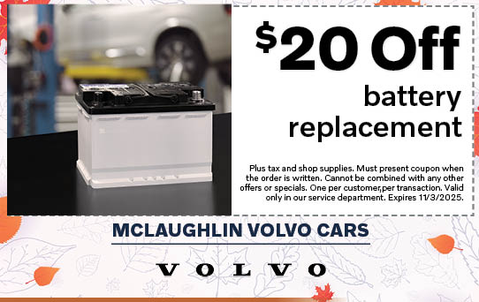 $20 Off Vehicle Battery Replacement