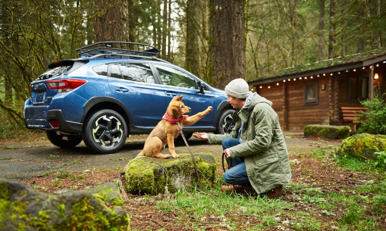 2022 Subaru Crosstrek parked in the woods with a very good dog raising his paw for a high-five