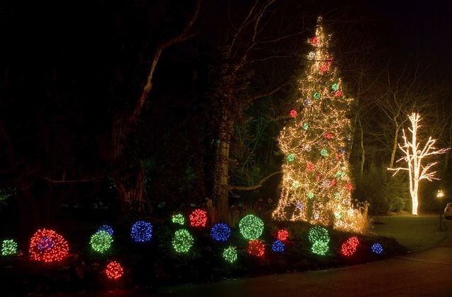 Holiday Events.jpg