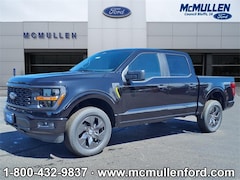 2025 Ford F-150 STX Truck