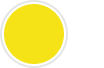 Sunny Side Yellow