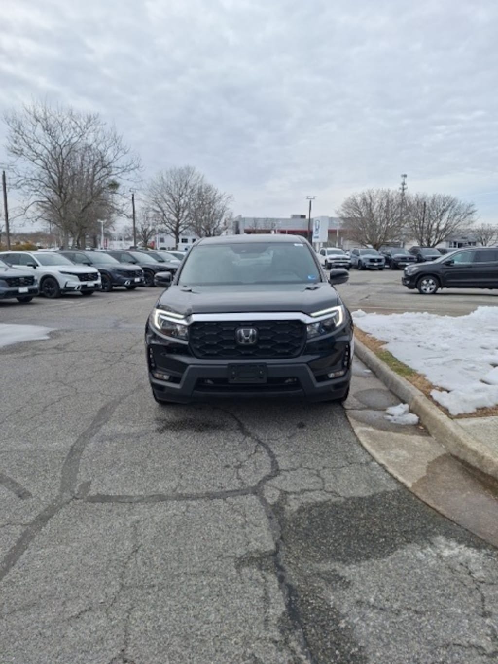 Used 2023 Honda Passport EX-L SUV