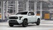  Toyota Tacoma 4WD