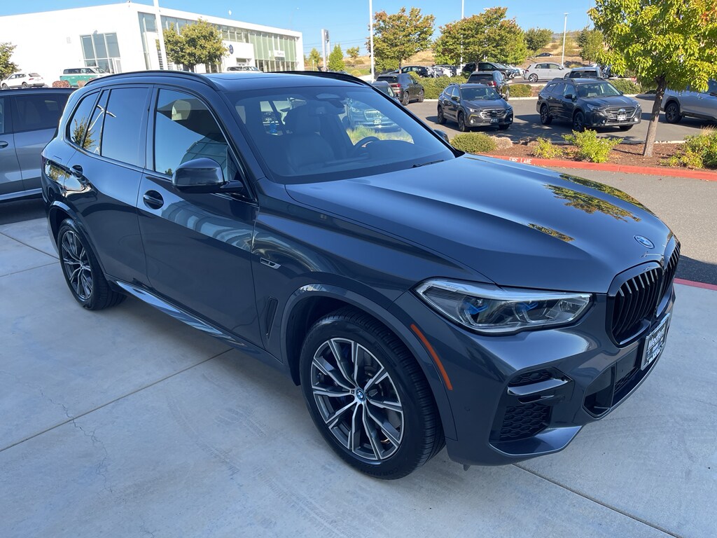 2022 Bmw X5 xDrive45e photo 3