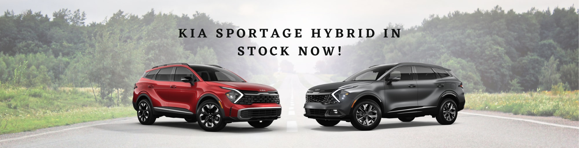 Kia Dealership Wheat Ridge CO Denver Lakewood Cars For Sale